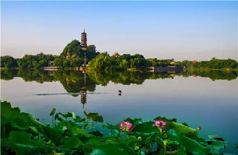 当员工提出了新观点或新想法时管理者重复的......《1对1面谈》摘录